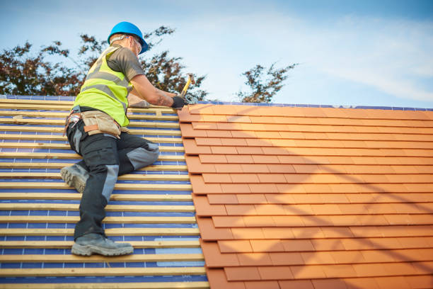 Best Roof Waterproofing  in Salem, SD