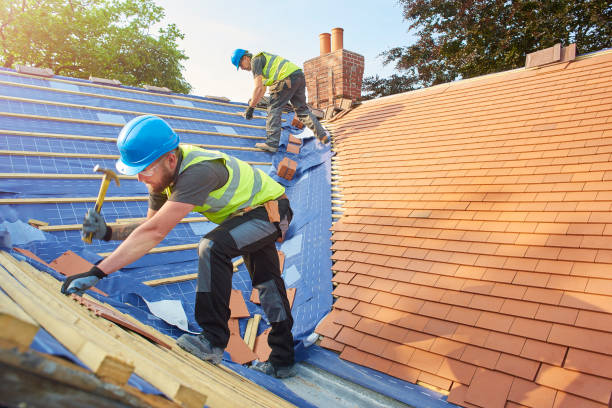 Best Roof Moss and Algae Removal  in Salem, SD
